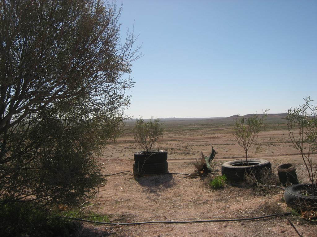 Venushill B+B Coober Pedy Luaran gambar